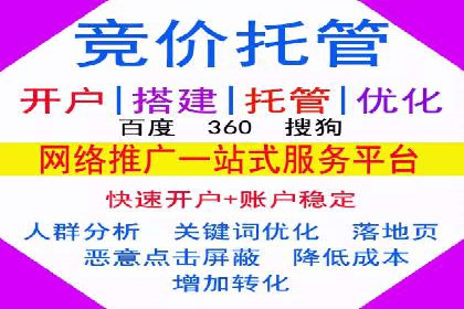 成功案例：网络推广与竞价广告的完美结合